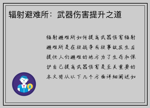 辐射避难所:武器伤害提升之道